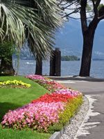 Brissago